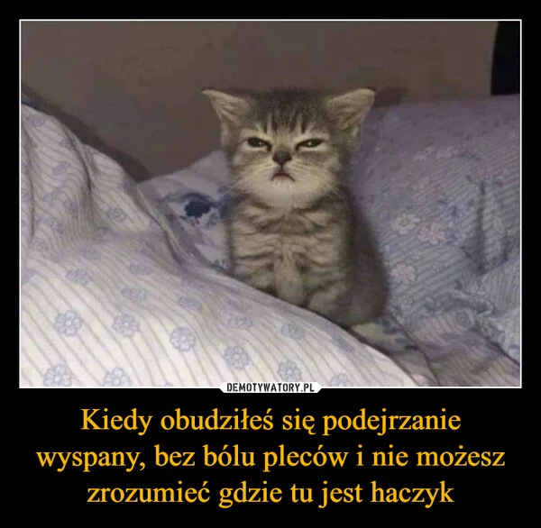 
    Kiedy obudziłeś się podejrzanie wyspany, bez bólu pleców i nie możesz zrozumieć gdzie tu jest haczyk