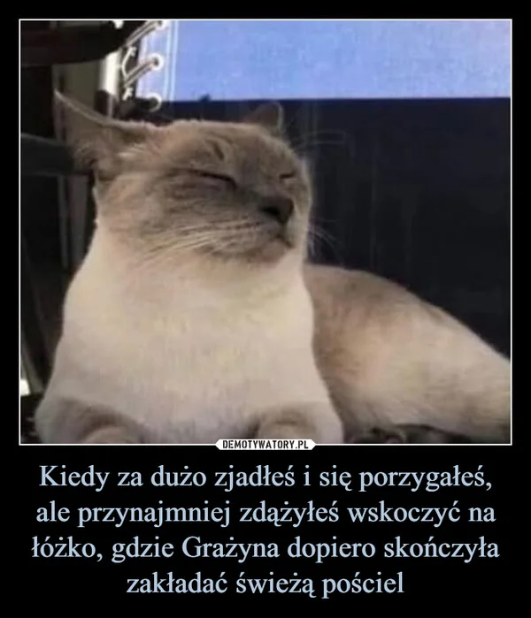 
    Kiedy za dużo zjadłeś i się porzygałeś, ale przynajmniej zdążyłeś wskoczyć na łóżko, gdzie Grażyna dopiero skończyła zakładać świeżą pościel