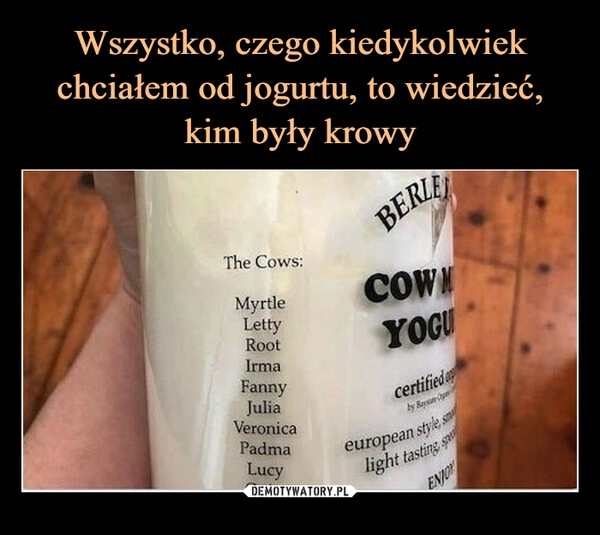 
    Wszystko, czego kiedykolwiek chciałem od jogurtu, to wiedzieć, kim były krowy