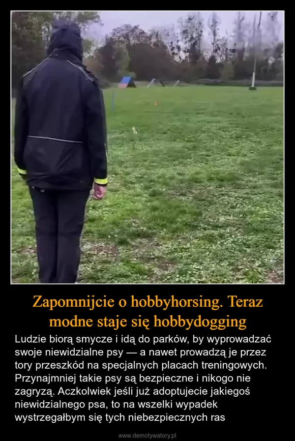 
    Zapomnijcie o hobbyhorsing. Teraz modne staje się hobbydogging