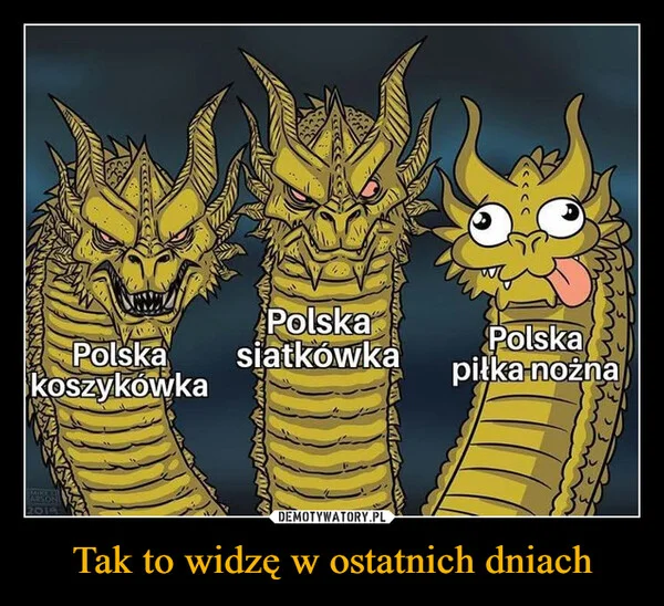 
    Tak to widzę w ostatnich dniach