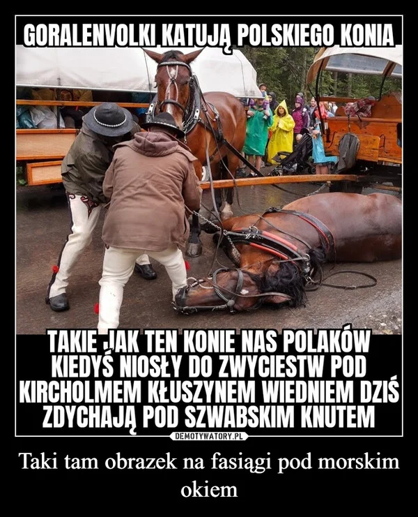 Taki tam obrazek na fasiągi pod morskim okiem