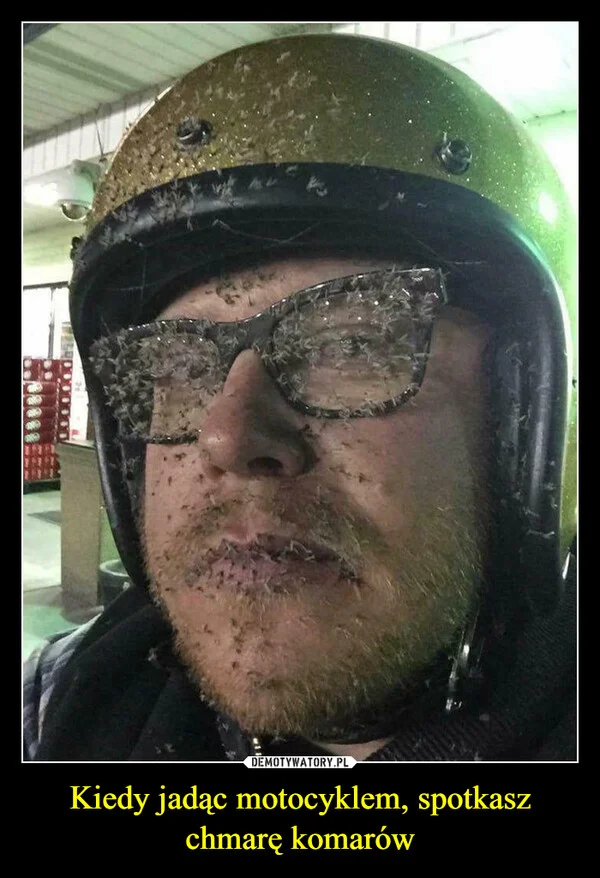 
    Kiedy jadąc motocyklem, spotkasz chmarę komarów