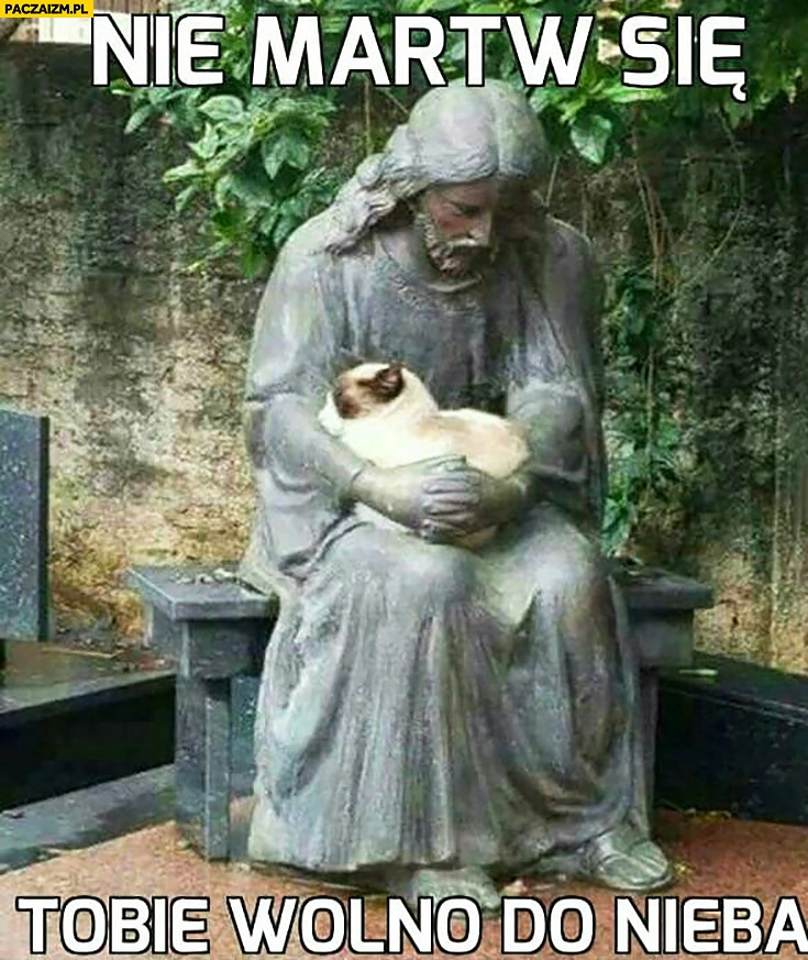 
    Nie martw się, Tobie wolno do nieba Jezus trzyma kota pomnik posag