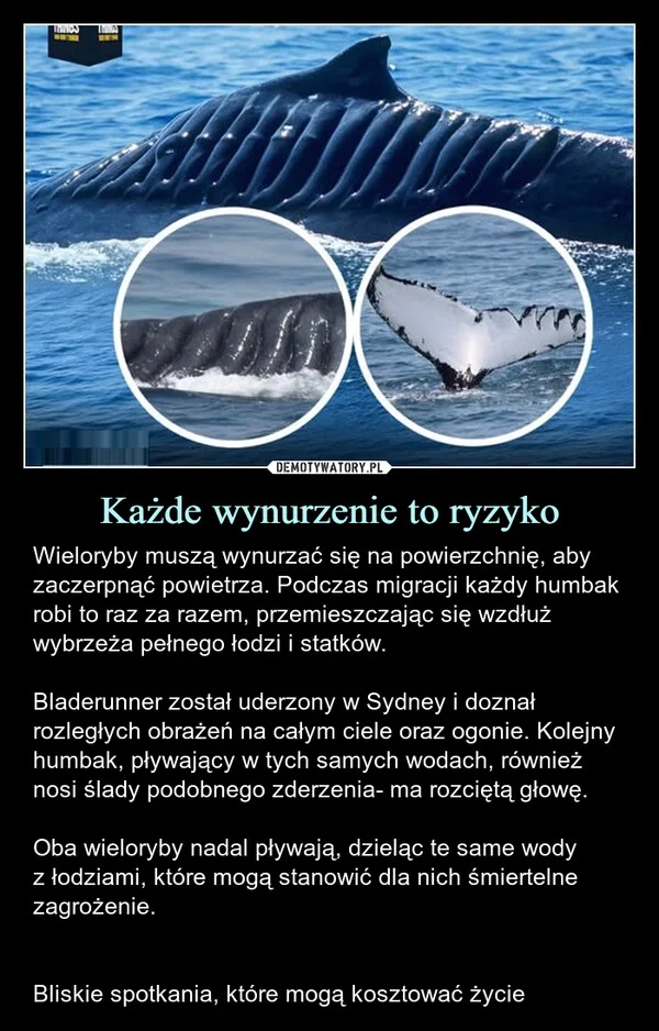 
    Każde wynurzenie to ryzyko