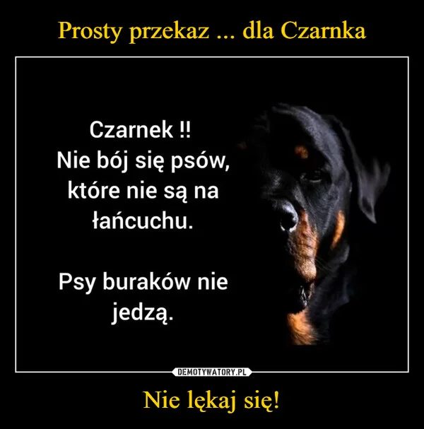 
    Prosty przekaz ... dla Czarnka Nie lękaj się!