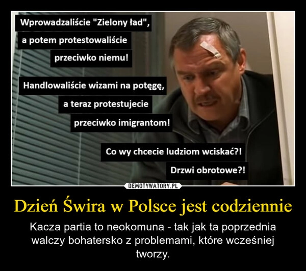 
    Dzień Świra w Polsce jest codziennie