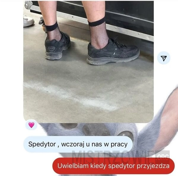 
    Spedytor
