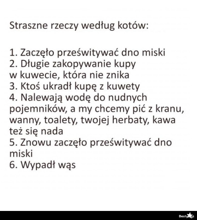 
    Straszne rzeczy według kotów 