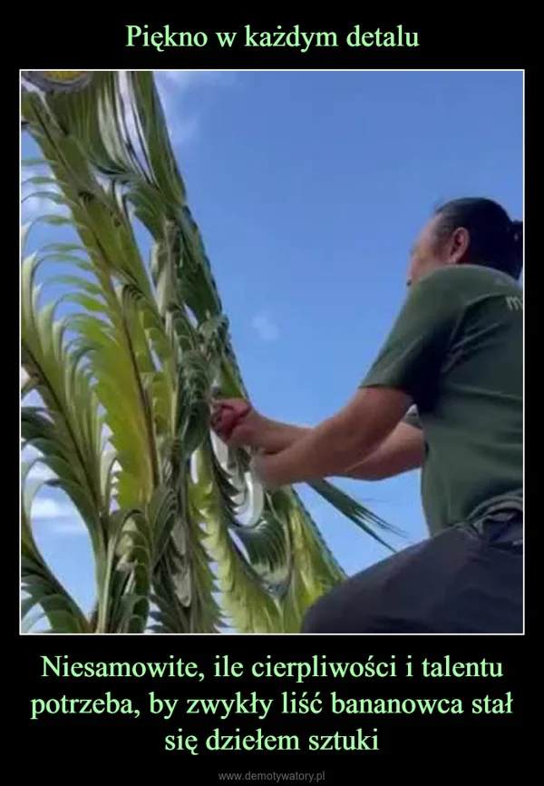 
    Piękno w każdym detalu Niesamowite, ile cierpliwości i talentu potrzeba, by zwykły liść bananowca stał się dziełem sztuki