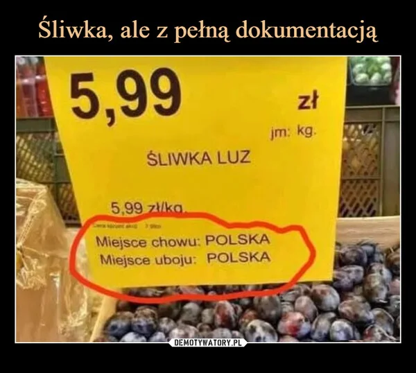 Śliwka, ale z pełną dokumentacją