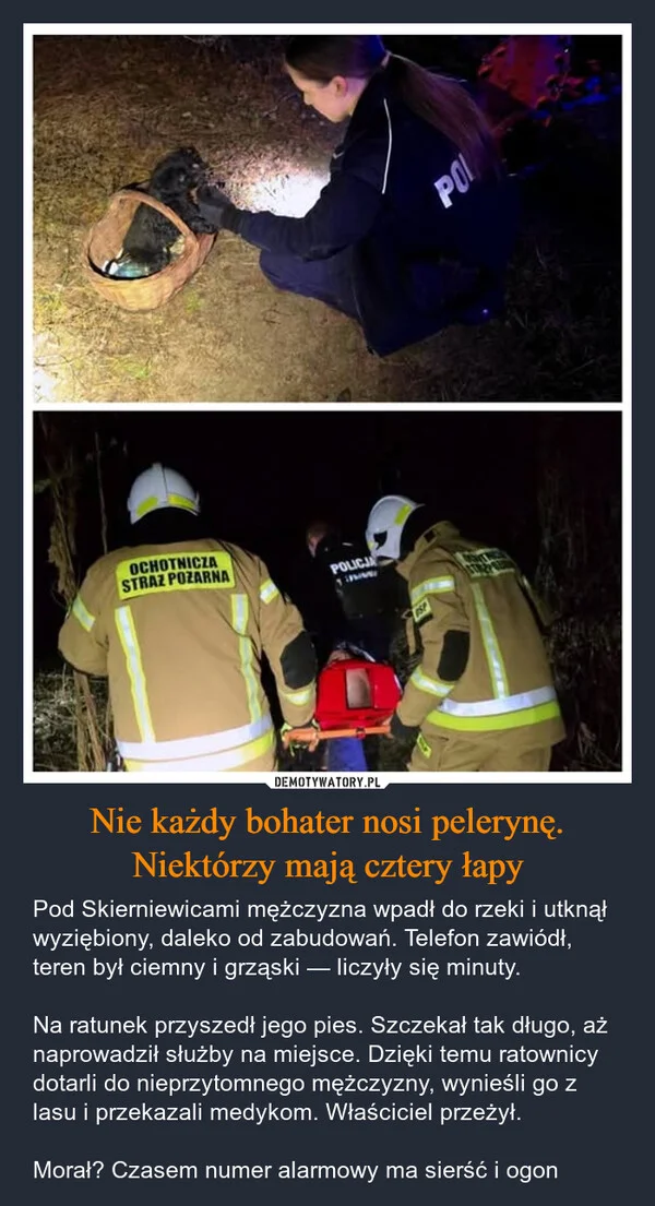 
    Nie każdy bohater nosi pelerynę. Niektórzy mają cztery łapy