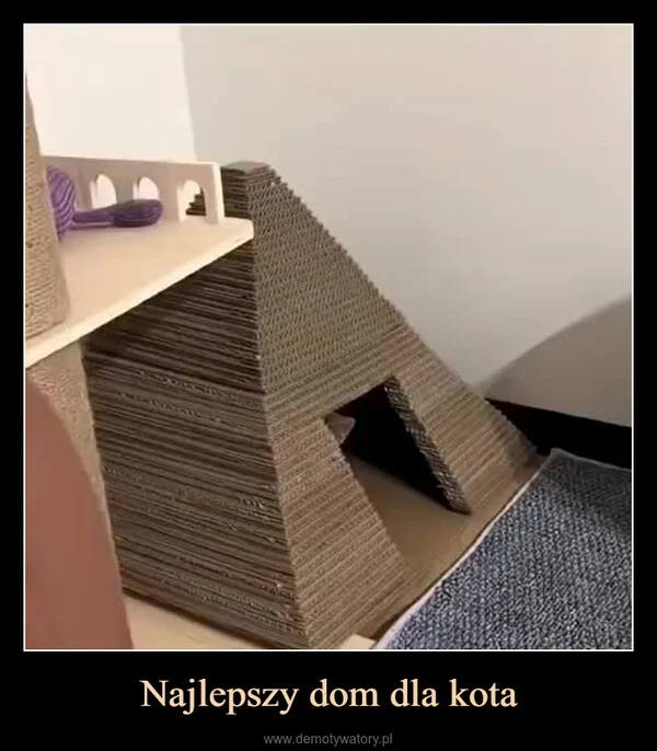 
    Najlepszy dom dla kota
