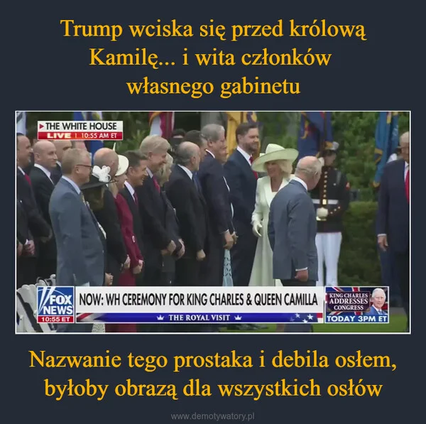
    Trump wciska się przed królową Kamilę... i wita członków własnego gabinetu Nazwanie tego prostaka i debila osłem, byłoby obrazą dla wszystkich osłów