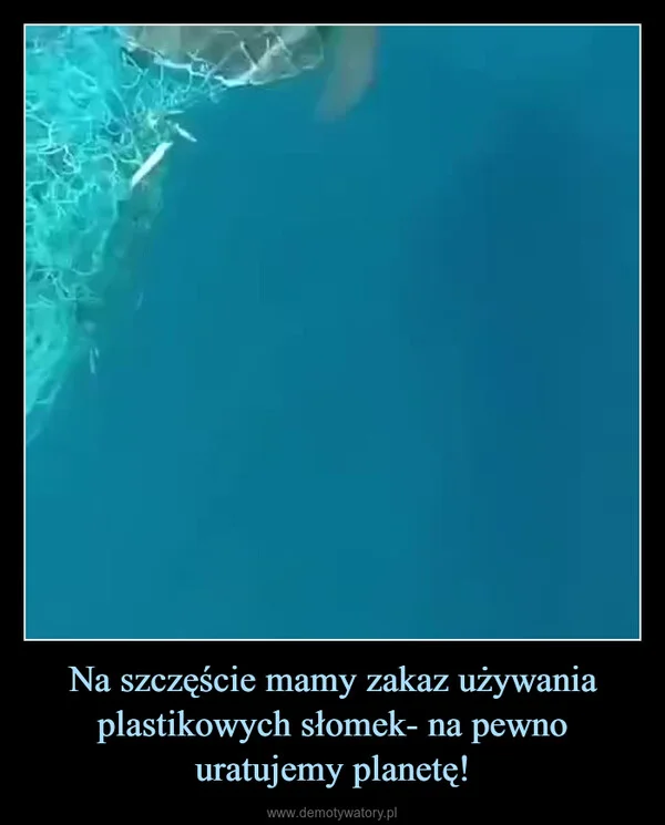 
    Na szczęście mamy zakaz używania plastikowych słomek- na pewno uratujemy planetę!