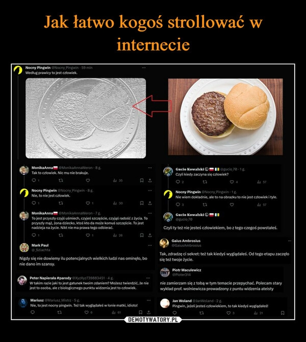 
    Jak łatwo kogoś strollować w internecie