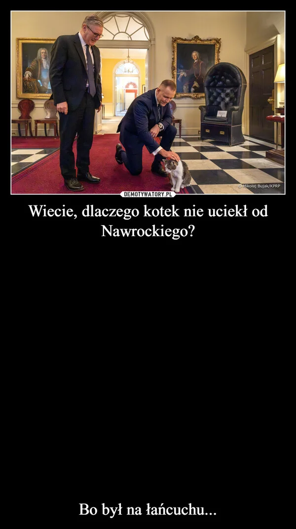 
    Wiecie, dlaczego kotek nie uciekł od Nawrockiego? Bo był na łańcuchu...