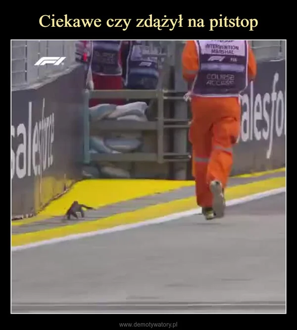 Ciekawe czy zdążył na pitstop