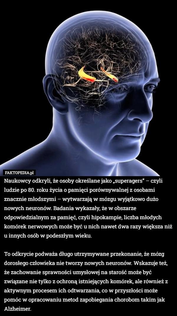 
    Naukowcy odkryli, że osoby określane jako „superagers” – czyli ludzie po