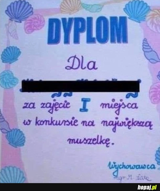 
    Muszelka