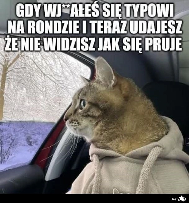 
    Nic nie widzę 