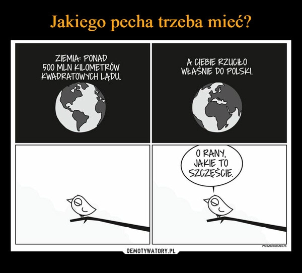 
    Jakiego pecha trzeba mieć?