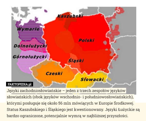 
    Języki zachodniosłowiańskie – jeden z trzech zespołów języków słowiańskich