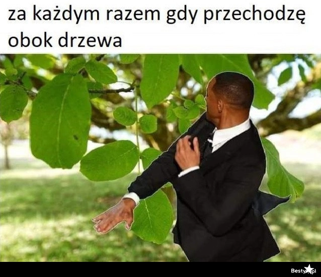 
    Z liścia 