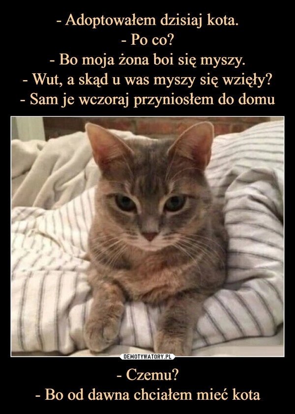 
    - Adoptowałem dzisiaj kota.
- Po co?
- Bo moja żona boi się myszy.
- Wut, a skąd u was myszy się wzięły?
- Sam je wczoraj przyniosłem do domu - Czemu?
- Bo od dawna chciałem mieć kota