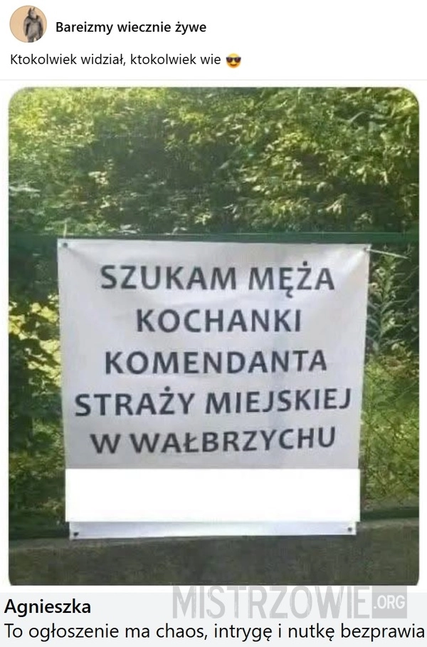 
    Kochanek