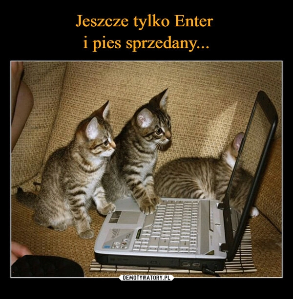 
    Jeszcze tylko Enter 
i pies sprzedany...