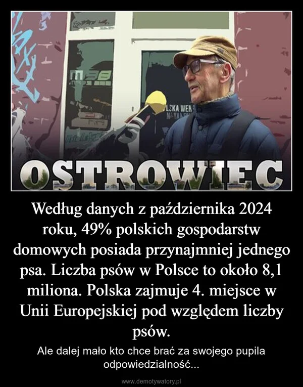 
    Według danych z października 2024 roku, 49% polskich gospodarstw domowych posiada przynajmniej jednego psa. Liczba psów w Polsce to około 8,1 miliona. Polska zajmuje 4. miejsce w Unii Europejskiej pod względem liczby psów.