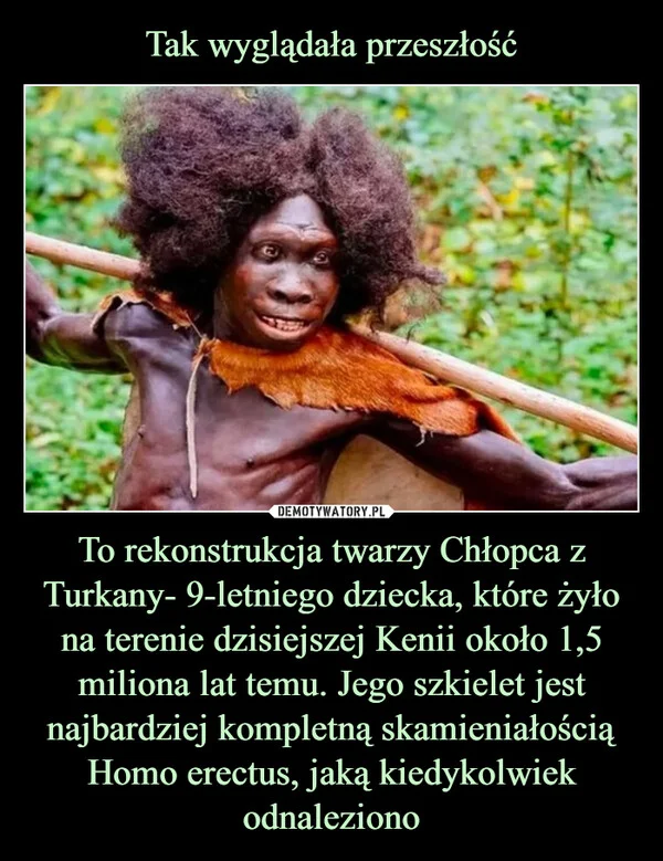 
    Tak wyglądała przeszłość To rekonstrukcja twarzy Chłopca z Turkany- 9-letniego dziecka, które żyło na terenie dzisiejszej Kenii około 1,5 miliona lat temu. Jego szkielet jest najbardziej kompletną skamieniałością Homo erectus, jaką kiedykolwiek odnaleziono
