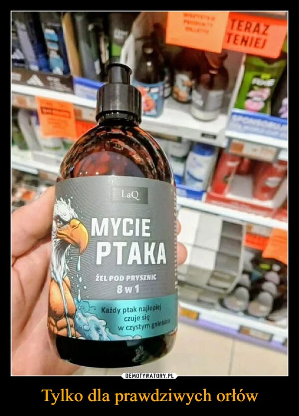 Tylko dla prawdziwych orłów