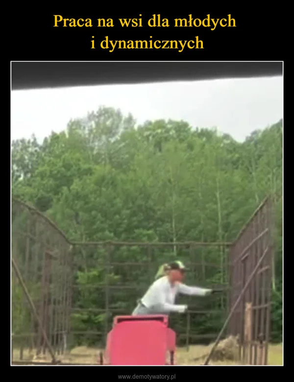 Praca na wsi dla młodych i dynamicznych
