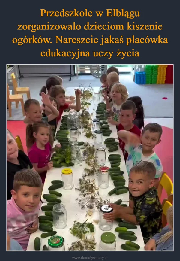 
    Przedszkole w Elblągu zorganizowalo dzieciom kiszenie ogórków. Nareszcie jakaś placówka edukacyjna uczy życia