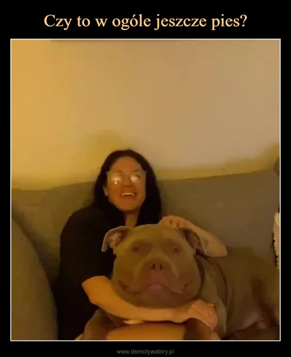 
    Czy to w ogóle jeszcze pies?