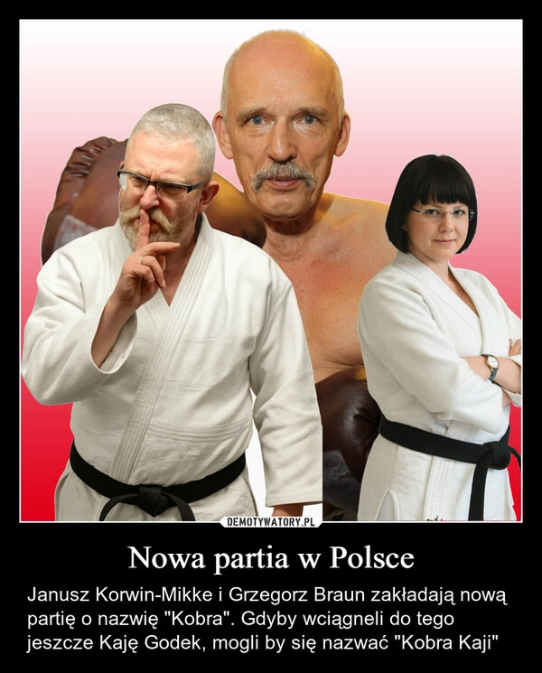 
    Nowa partia w Polsce