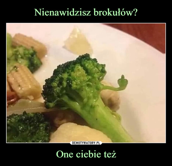 
    Nienawidzisz brokułów? One ciebie też