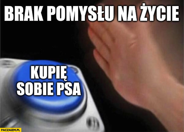 
    Brak pomysłu na życie przycisk kupię sobie psa