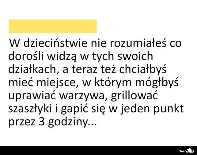 
    Ogródki działkowe 