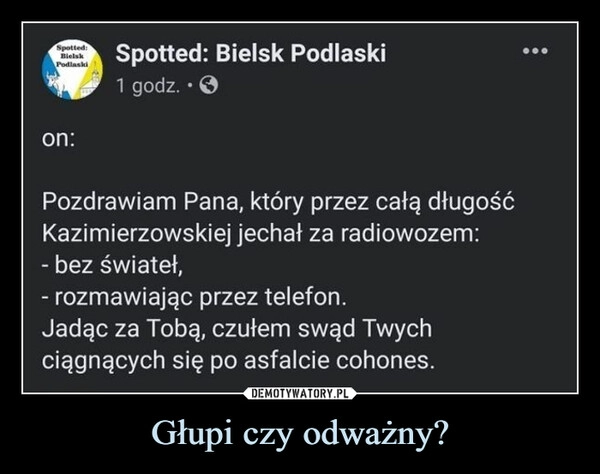 
    Głupi czy odważny?