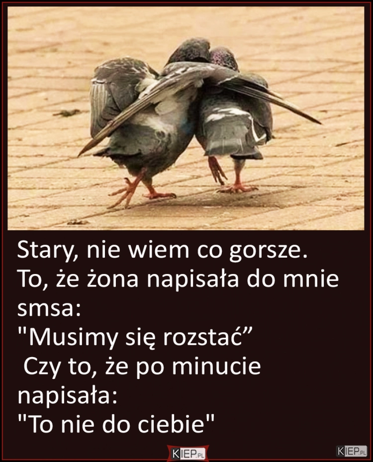 
    Stary, nie wiem co gorsze. To, że żona napisała do mnie smsa...