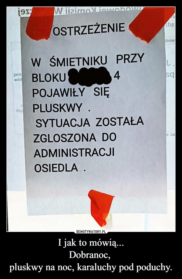 
    I jak to mówią...
Dobranoc, 
pluskwy na noc, karaluchy pod poduchy.