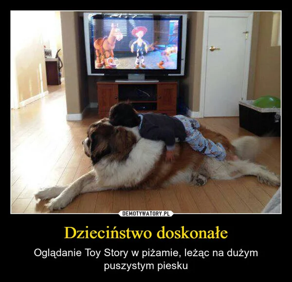 
    Dzieciństwo doskonałe