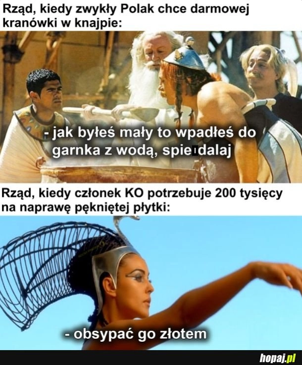 Nie dla psa