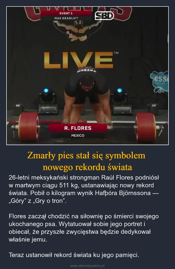 Zmarły pies stał się symbolem nowego rekordu świata