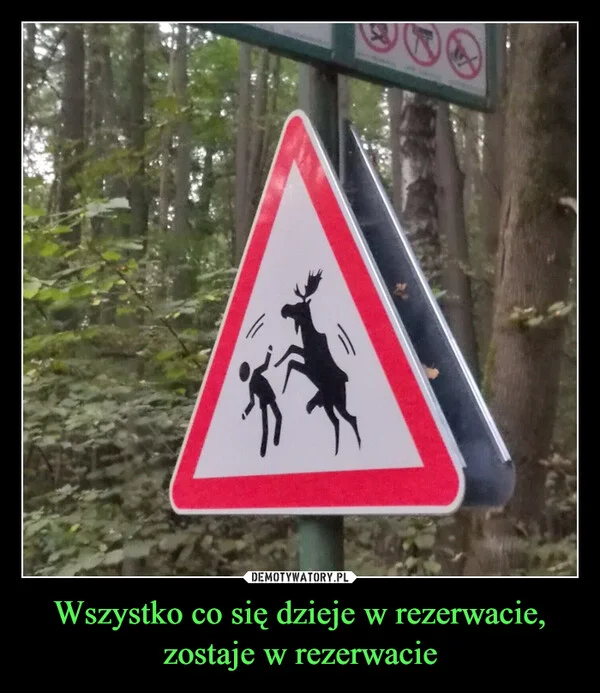 
    Wszystko co się dzieje w rezerwacie, zostaje w rezerwacie