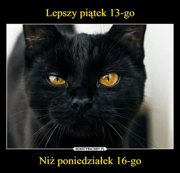 
    Lepszy piątek 13-go Niż poniedziałek 16-go