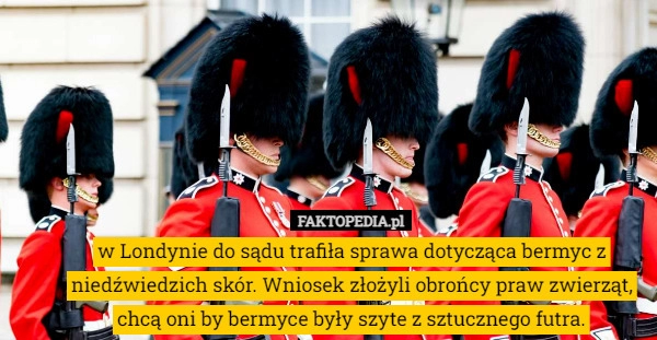 
    
			W Londynie do sądu trafiła sprawa dotycząca bermyc z niedźwiedzich skór.					